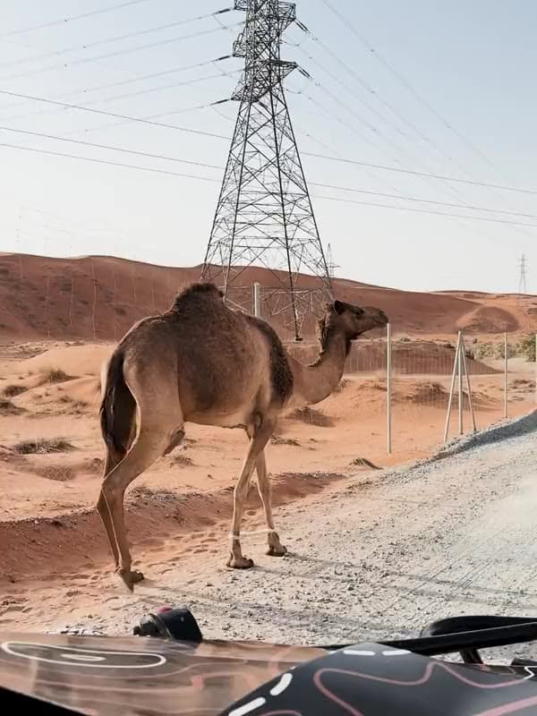 Behind the scenes — Zerzura, Desert, 2025