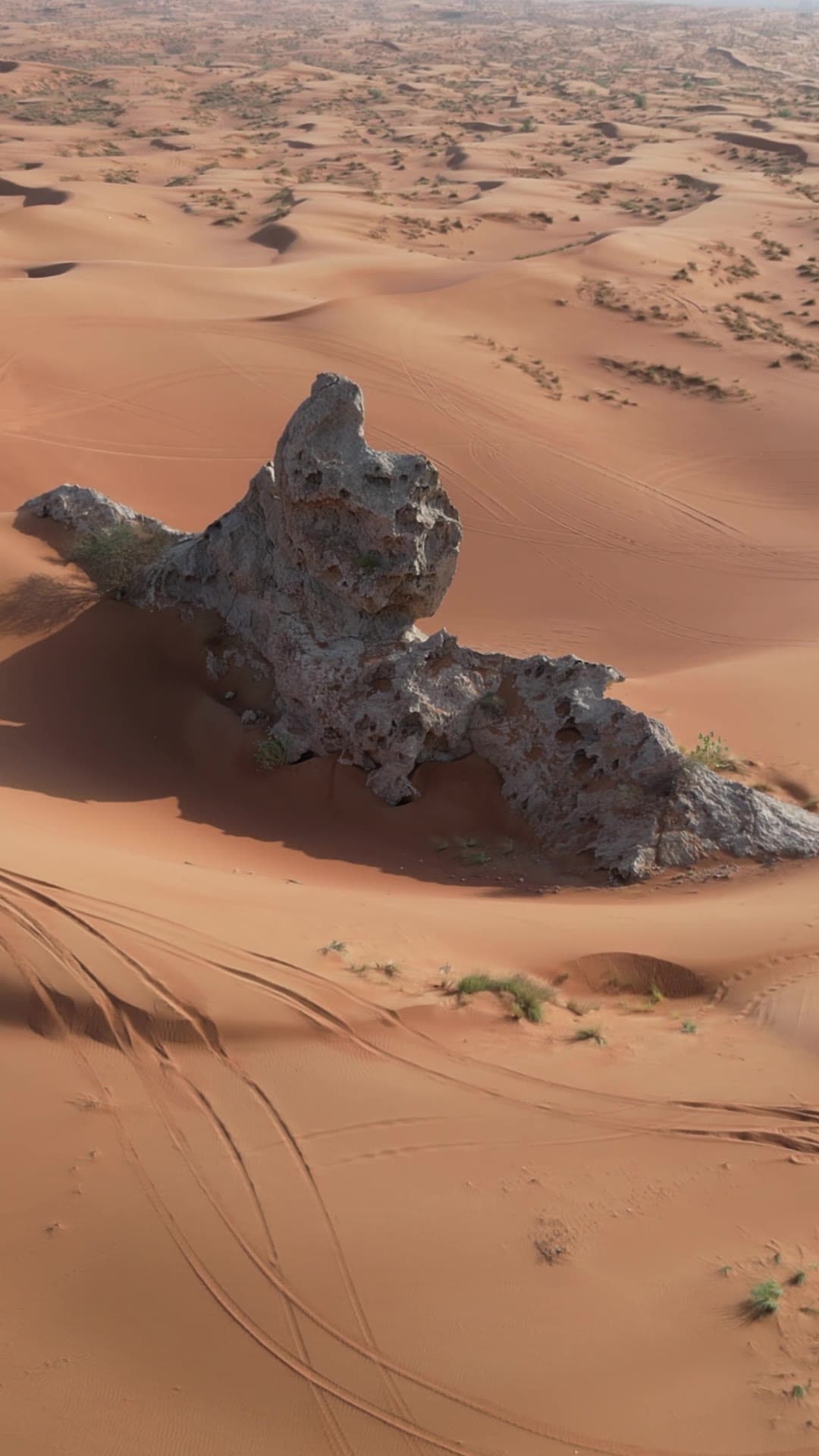 Let's Time Travel — still from the film